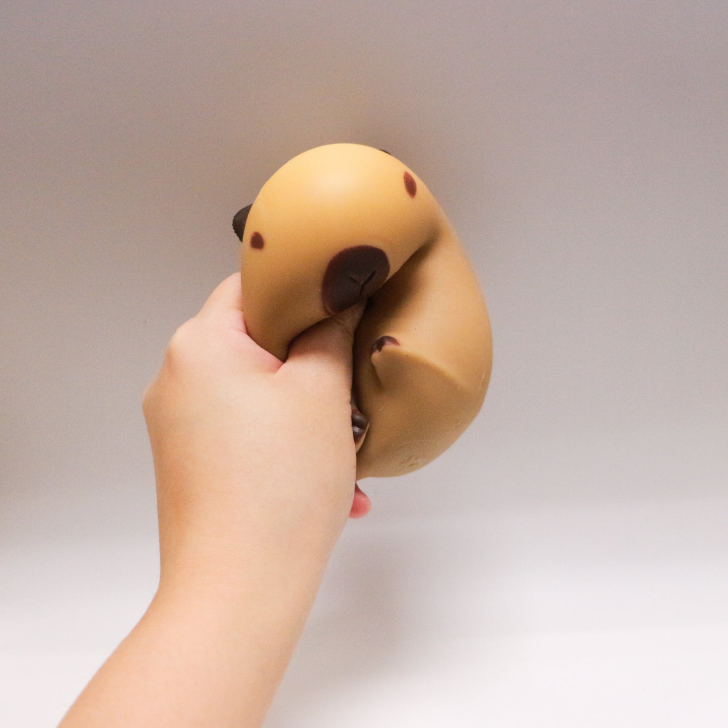 Squeeze Capybara 2 w/display