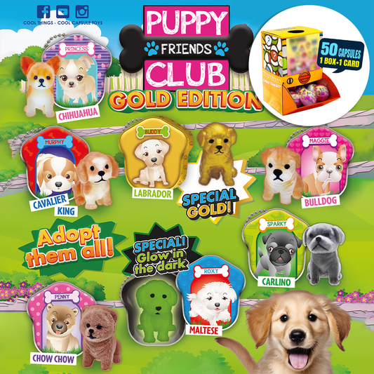 Gold edition Puppy Club Countertop Capsule Display(5cm L40)