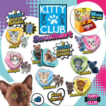 Kitty figure w/heart Tin box Countertop Capsule Display(5cm L40)