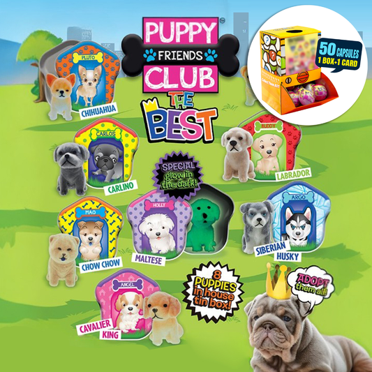 Puppy Club The Best Home Countertop Capsule Display(5cm L40)