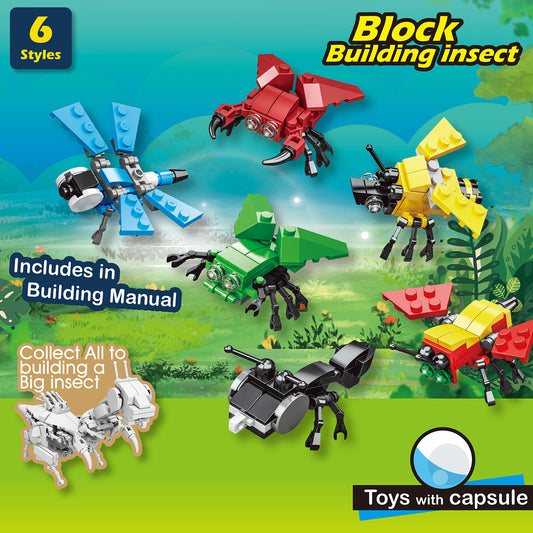 Brick insect in 63x70mm capsule