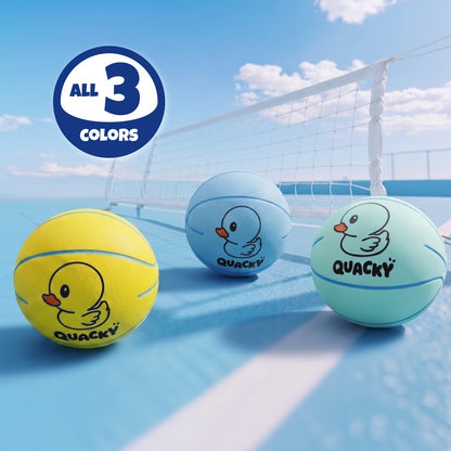 Quacky Duck Downball (3 colors) w/Display Box