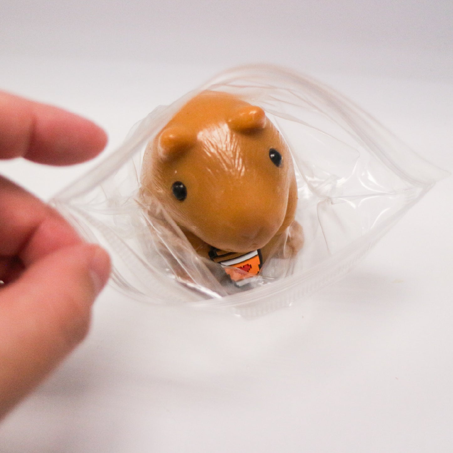 Squeezy Capybara Buddy w/display