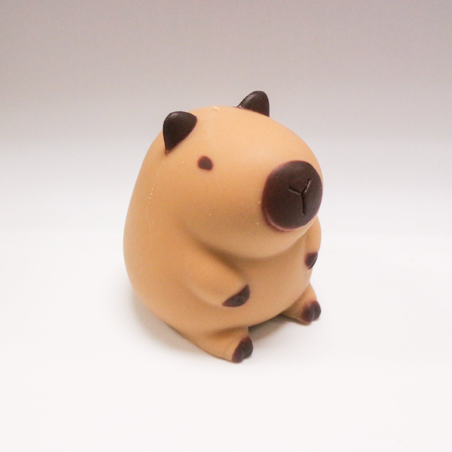 Squeeze Capybara 2 w/display