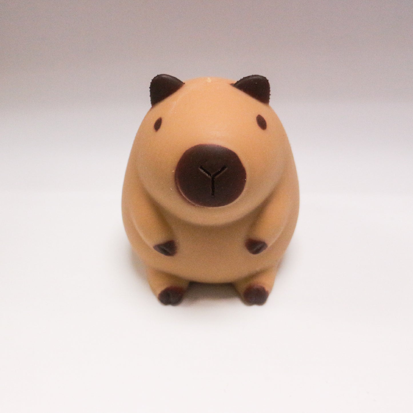 Squeeze Capybara 2 w/display