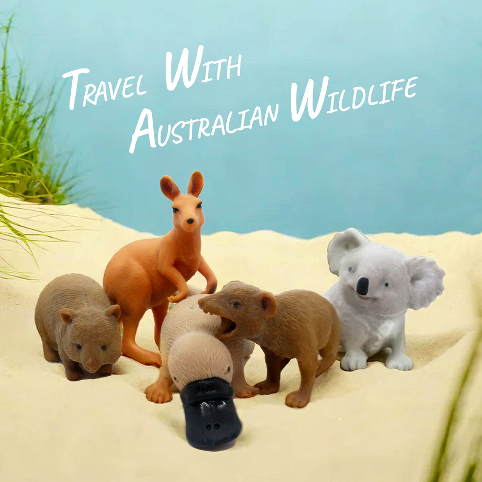 Squishy Australian Wildlife Gift set – Kenisy Toys (Wholesale)
