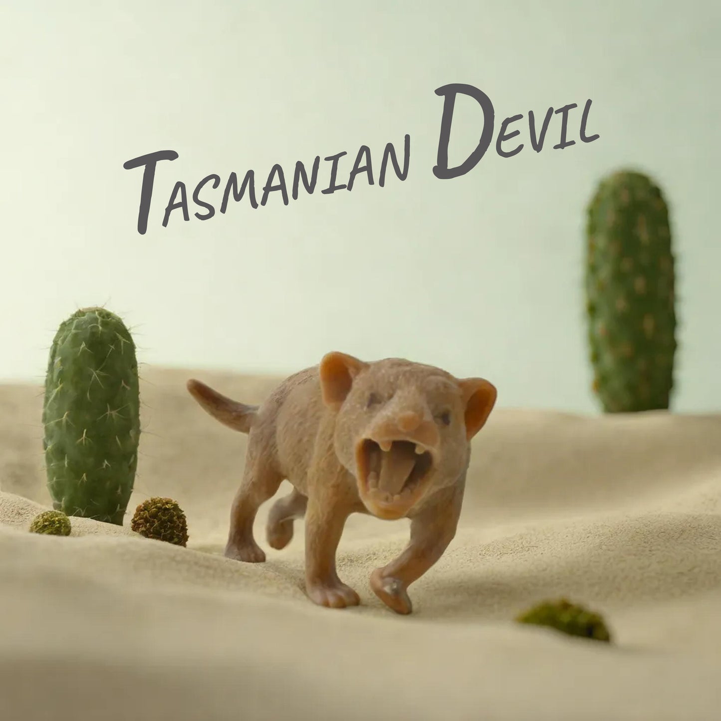 Squishy Australian Wildlife Gift set