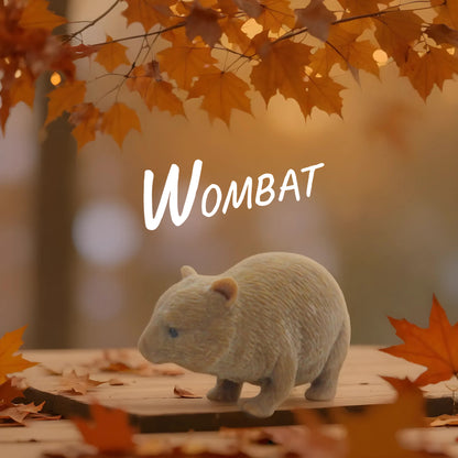 Squishy Australian Wildlife Gift set