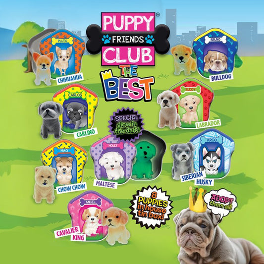 Puppy Club The Best Home in 50mm capsule